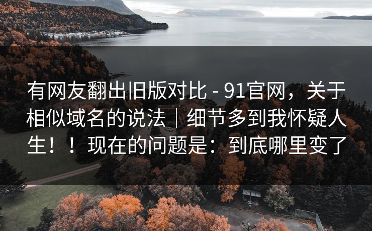 有网友翻出旧版对比 - 91官网，关于相似域名的说法｜细节多到我怀疑人生！！现在的问题是：到底哪里变了